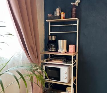 Malterdingen Appartement | Apartment Amelie - Zimmer mit TV, W-Lan, Mikrowelle und Kühlschrank, Bad mit Dusche