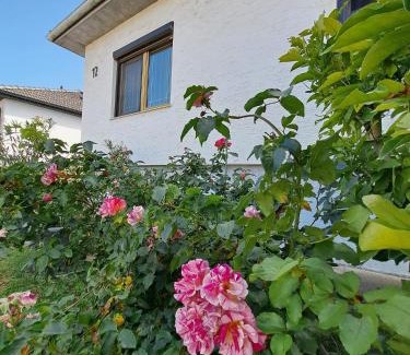 Marchegg Maison | Apartment Anna - Austrian country house in Marchfeld im Weinviertel