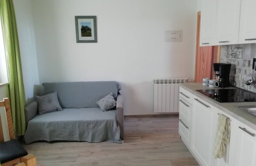 Nova Vas Appartement | Appartement Anna jusqu'à 3 personnes