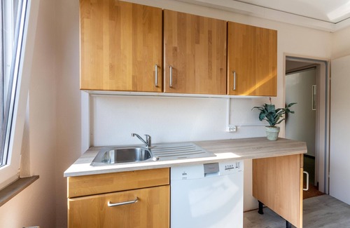 Bad Sachsa Appartement | Appartement 'Aparthotel Am Stadtpark 1107' avec Wi-Fi