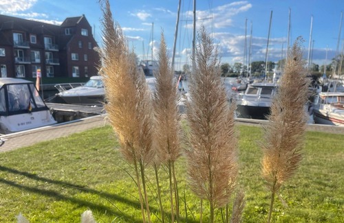 Ueckermuende Appartement | Appartement / app. pour 6 personnes à 61 m² à Ueckermünde (55049)
