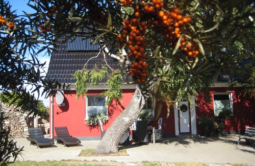 Markgrafenheide Appartement | Appartement - Appartement directement sur la plage
