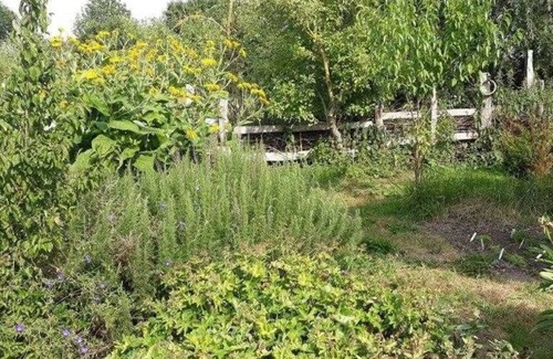 Borrentin Appartement | Appartement - Appartement Wolkwitz Sud