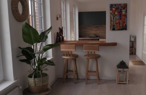 Mouvaux Appartement | Jolie suite avec spa privatif