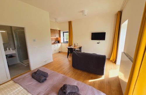 Svinna Appartement | Apartment Arber Šumava