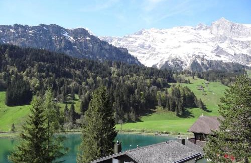 Engelberg Appartement | Apartment Aurora by Interhome