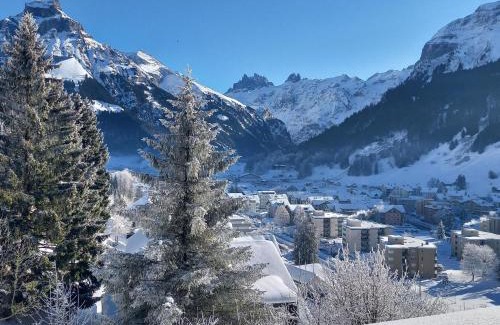 Engelberg Appartement | Apartment Aurora by Interhome