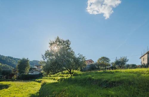 Camaiore Appartement | Apartment Barbara by Interhome