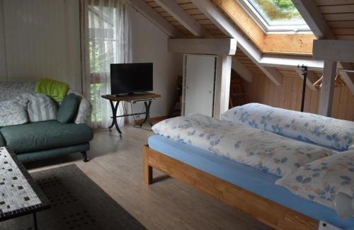 Engelberg Appartement | Apartment Barmettlenstrasse 26 by Interhome