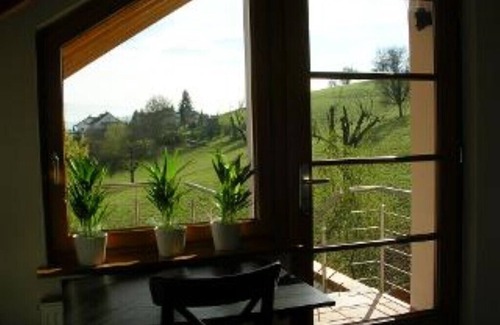 Rheinfelden Appartement | Apartment Benz - non-smoking apartment in the attic