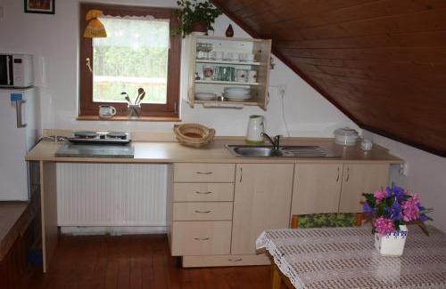Jindrichuv Hradec Appartement | Apartment BENCI