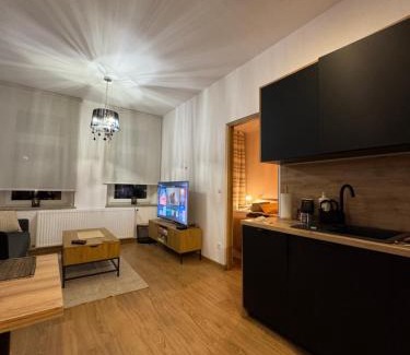 Zgorzelec Appartement | Apartment between the bridges