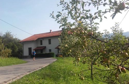 Drezniske Ravne Appartement | Apartment Bric