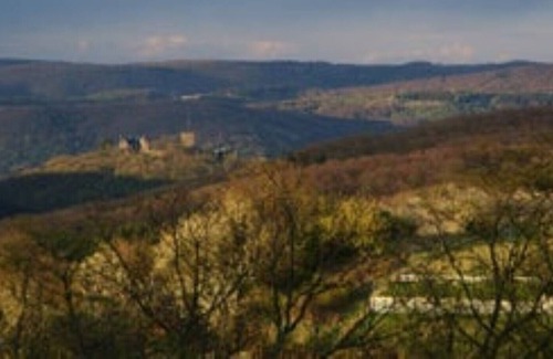 Brohl-Lutzing Maison | Apartment Burgblick-Vulkan
