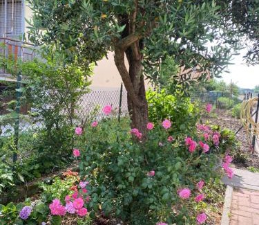 Caorso Appartement | Apartment Caorso Rino