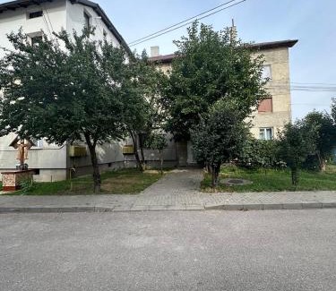 Gura Humorului Appartement | Apartment cu vedere la râu
