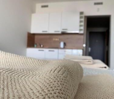 Prague 9 Appartement | Apartment David O2 Arena Prague