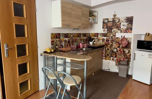 Kosice Old Town Appartement | Apartment Ela Centre