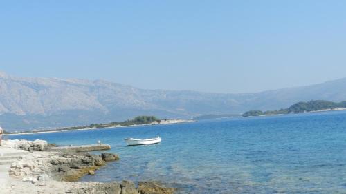 Vela Glavica Appartement | Apartment Eli