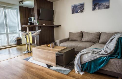 Velky Slavkov Appartement | Apartment Eric 9D High Tatras