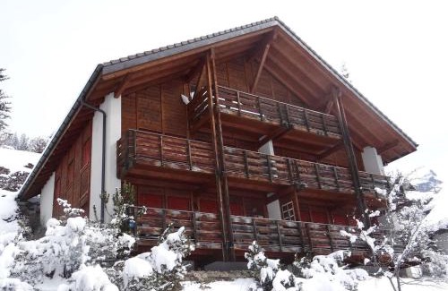 Engelberg Appartement | Apartment Fellenrüti 82 by Interhome