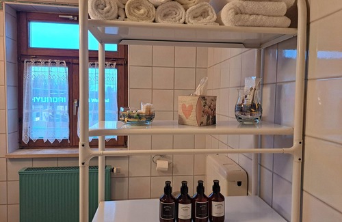Gunzenhausen Appartement | Apartment 'Ferienwohnung Mit Privater Sauna' with Shared Garden, Balcony and Wi-Fi