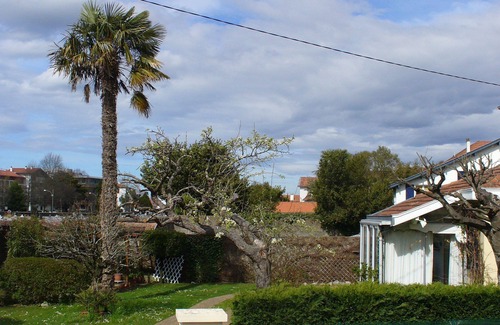 Bayonne Appartement | Charmant T1 Bis au coeur de l'agglo Bayonne-Biarritz-Anglet