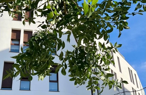 Ponteareas Appartement | A Coastine: urban, modern and functional apartment close to nature, Galicia