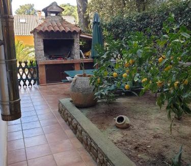 Artatore Appartement | Apartment for max 7 pers in Mali Losinj with terrace, air conditioning, WiFi, washing machine 4913-3