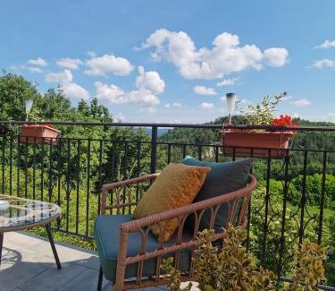Grabri Appartement | Apartment Franko - Hum