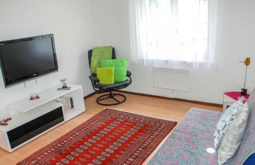 Chironico Appartement | Apartment Gemma by Interhome