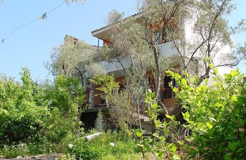 Valun Appartement | Appartement Griv (104071-A2) - Valun (Cres)