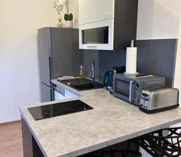 Langenbrucken Appartement | Apartment Im Sand nahe am See