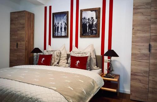 Schonbach Appartement | Apartment in Neukirchen near Ski Lift