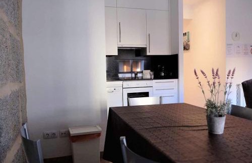 Ourense Appartement | Apartment in Ourense near Thermal Baths
