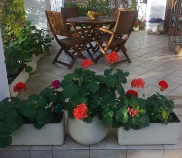 Siofok Appartement | Apartment in Siofok - Balaton 19988