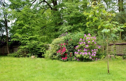 Hermannsburg Appartement | Appartement au centre, rez-de-chaussée, familial, grand jardin.