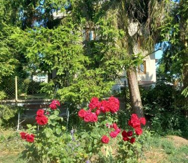 Plzen 2-Slovany Maison | Apartment in the city of Pilsen