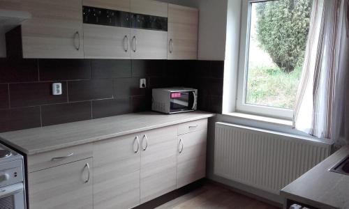 Blazejovice Villa | Apartment in the Hájenka holiday house