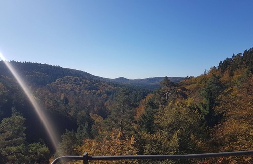 Schontal Appartement | Appartement dans le cadre idyllique de la réserve de biosphère de la forêt palatin
