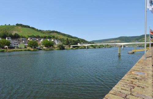 Zell Appartement | Apartment in Zell near Mosel River & Vineyards