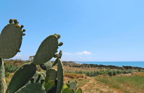 Marinella di Selinunte Appartement | Apartment in Marinella di Selinunte Castelvetrano