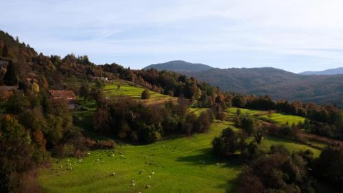 Brod Moravice Appartement | Apartment "Johana"