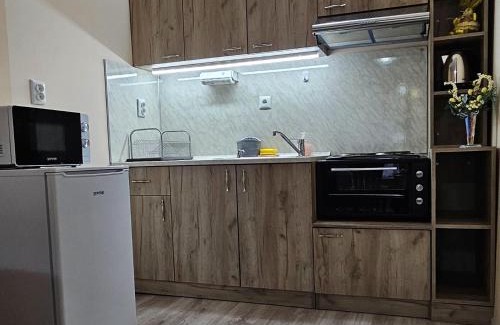 Velingrad Appartement | Apartment Krasi