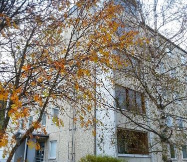 Maenttae-Vilppula Appartement | Apartment Kukkarokivenkatu