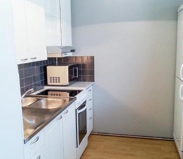 Maenttae-Vilppula Appartement | Apartment Kukkarokivenkatu