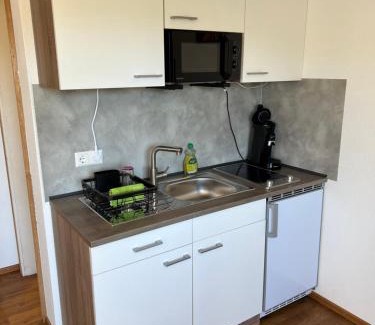 St. Peter im Schwarzwald Appartement | Apartment Malerkarle zentral