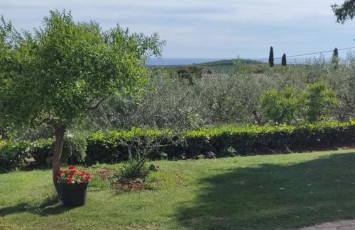 Golas Appartement | Apartment Matteo