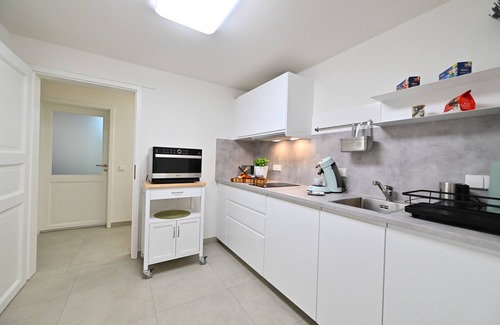 Oppenau Appartement | Apartment 'Mikro Höflewald' with Wi-Fi