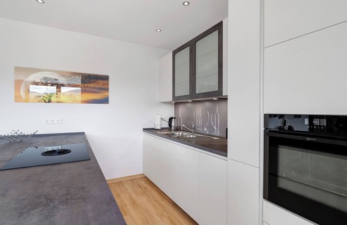 Achern Appartement | Appartement 'Modern Eingerichtetes Apartement' avec Wi-Fi